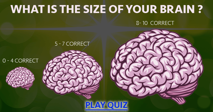 How big is your brain?