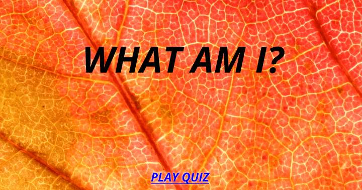 Banner for Who am I quiz