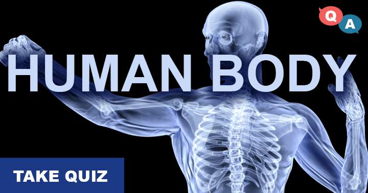 Banner for It's highly unlikely that you will score a 4 or better on this extremely challenging human body quiz.