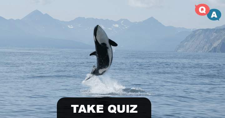 Banner for The level of difficulty for these 10 animal questions is extremely high.