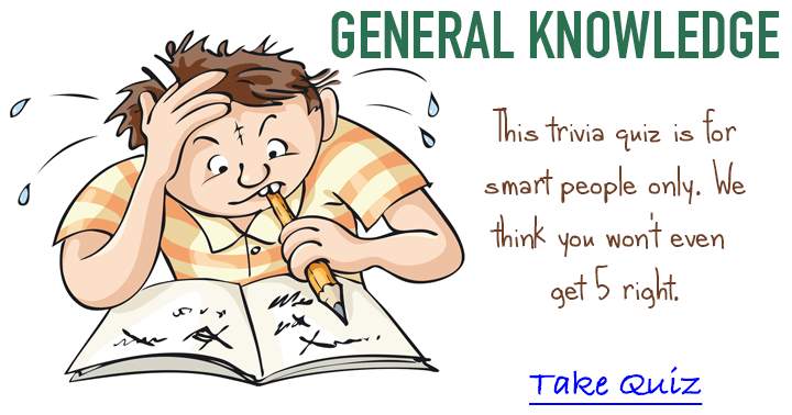 Banner for Brain Box exclusive: Engage in a riveting general knowledge trivia quiz for ultimate fun!