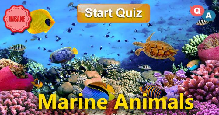 Banner for Marine Animals: 10 Insane Level Questions!