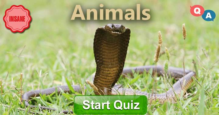 Banner for Animal Trivia: 10 challenging and enjoyable questions at an INSANE level.