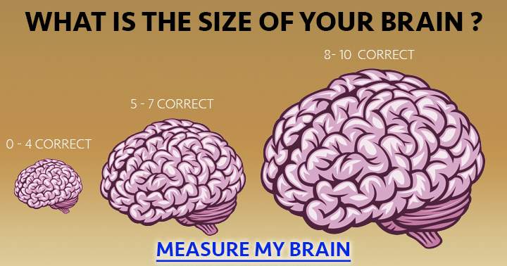 Banner for Measure your brain by taking the quiz.