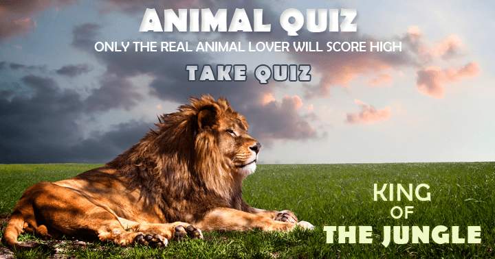 Banner for Score high on the Animal Quiz, only if you're a true animal lover.