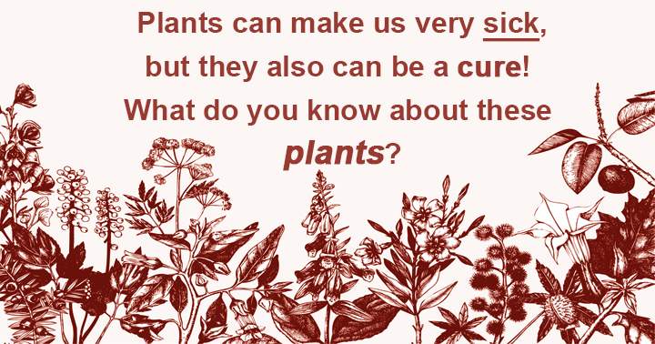 Banner for What knowledge do you have about these plants that have the potential to both harm and heal us?