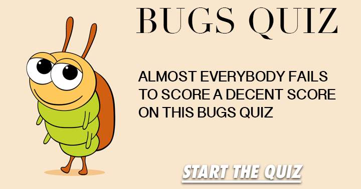 Banner for How extensive is your knowledge of bugs?