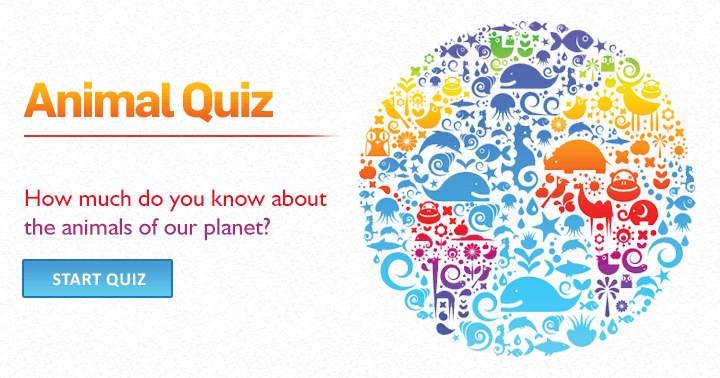 Banner for What is your knowledge level about the animals inhabiting our magnificent planet?