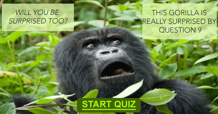 Banner for Quiz on Animals