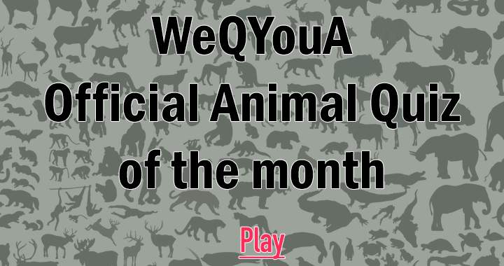 Banner for Monthly Animal Quiz