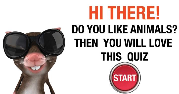 Banner for Are you fond of animals?