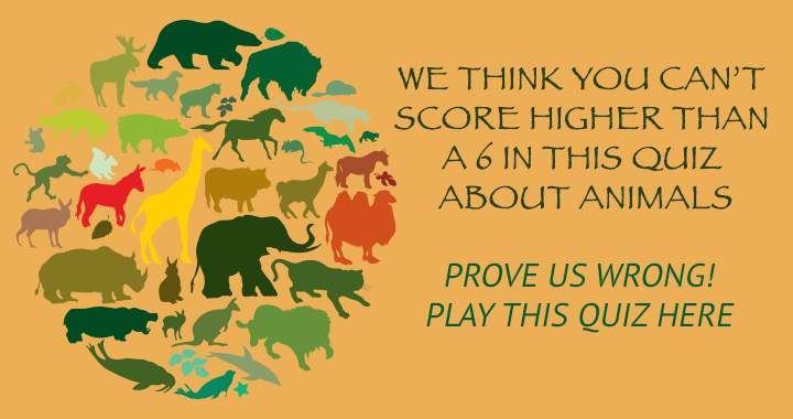 Banner for Quiz on Animals