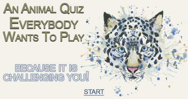 Banner for Let's find out how many quizzes can achieve a score higher than 7!