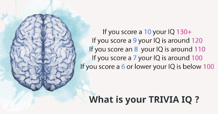 Banner for Now is the time to challenge your Trivia IQ!