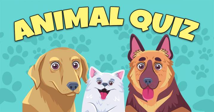 Banner for Quiz on Animals