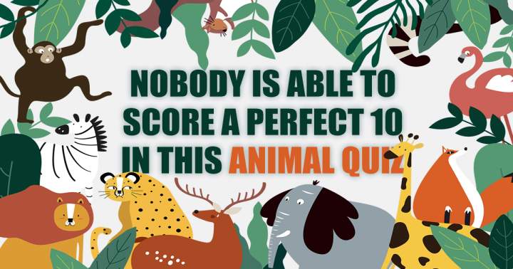 Banner for Quiz about animals