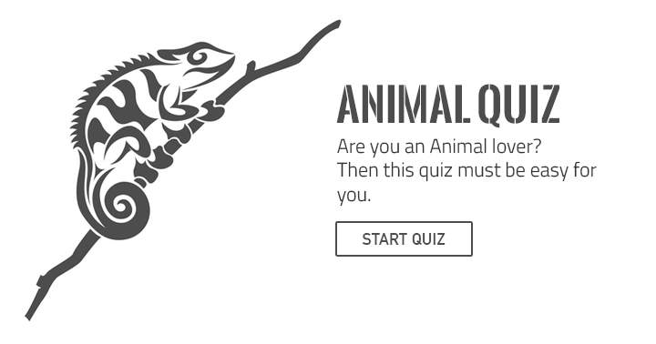 Banner for If you truly love animals, test your knowledge with this challenging yet enjoyable quiz.