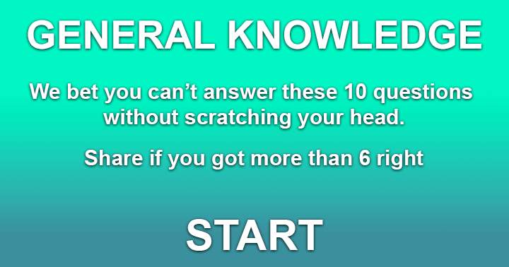 Banner for Universal Trivia Challenge