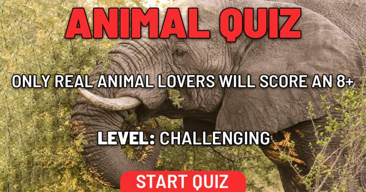 Banner for Ten extremely difficult animal-related questions that only a zoologist could answer.