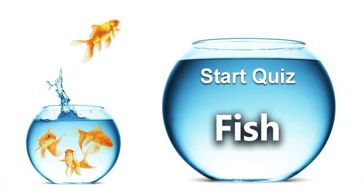 Banner for Attempt these 10 difficult fish-related questions by taking the quiz.