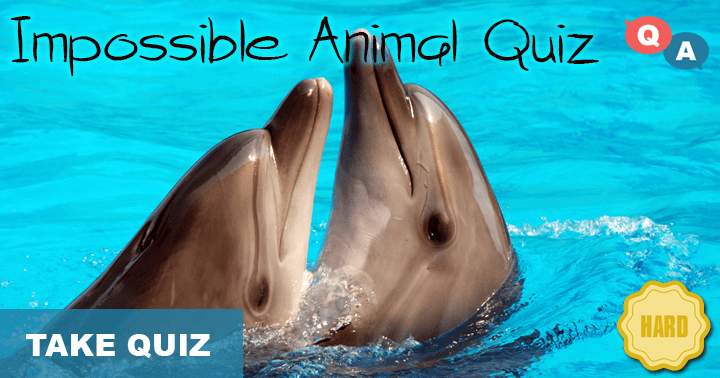 Banner for Are you able to achieve a score of 5/10 or higher on this extremely challenging animal quiz?