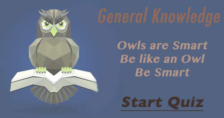 Banner for Are you as smart as an Owl