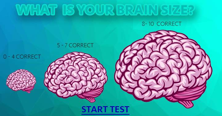 Banner for Test the size of your brain!