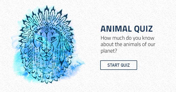 Banner for Animal lovers will enjoy this quiz!