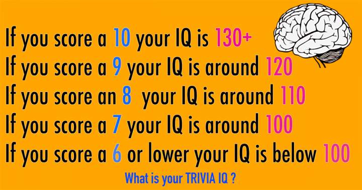 Banner for What is your trivia IQ?