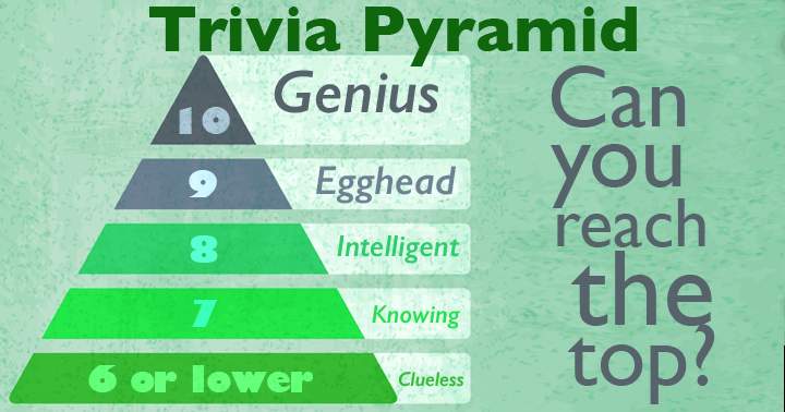 Banner for How high can you climb the pyramid of knowledge? Share your Score