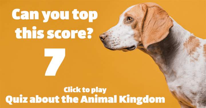 Banner for Quiz about the Animal Kingdom