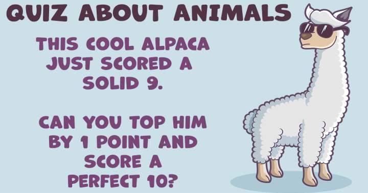 Banner for Quiz about Animals