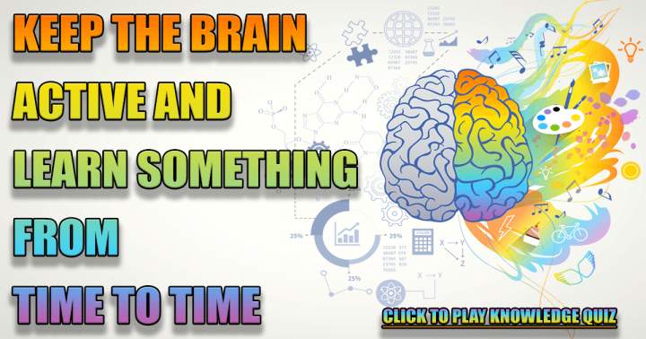 Banner for Brain Trainer