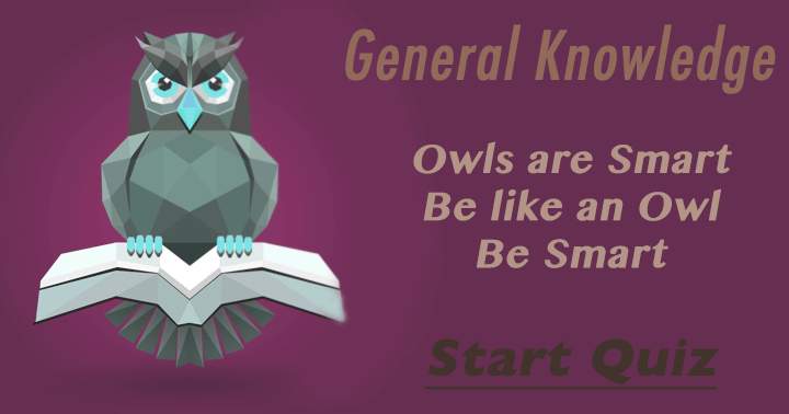 Banner for Be smart, be like an Owl