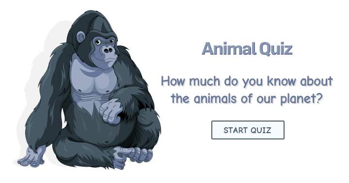 Banner for How much do you know about the animals of our planet? Take this animal trivia quiz to find out.