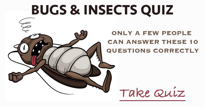 Banner for Bugs & Insects. Only a few people can answer these 10 questions correctly.