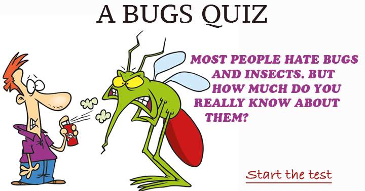 Banner for Most people hate bugs and insects. But how much do you really know about them?