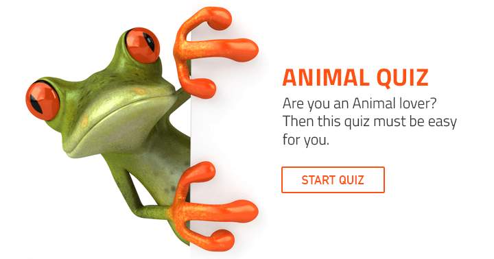 Banner for Trivia Quiz for the animal lovers among us.