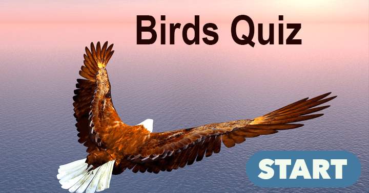 Banner for Challenging Quiz about Birds