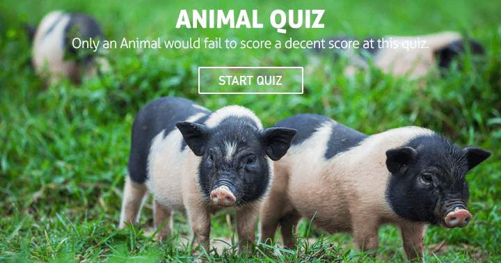 Banner for Can you finish this animal quiz flawless?